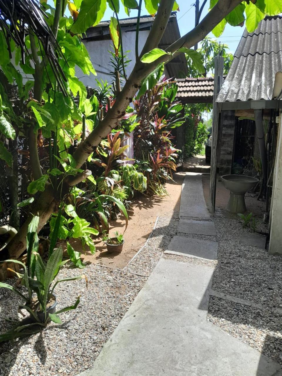 Brother'S Beach Home Bussa Εξωτερικό φωτογραφία